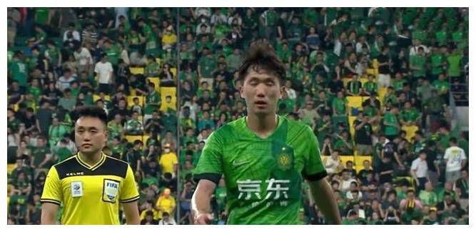 四爱小狗小说