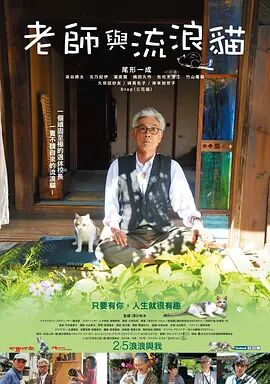 成人在线视频一区