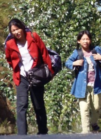 那个家伙又来了