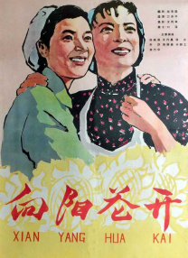 51精品视频在线一区二区