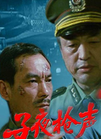 国产精品视频大全