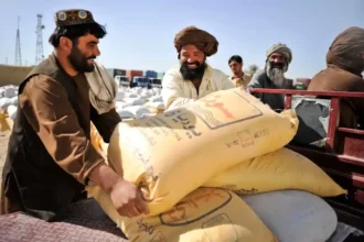 10 Facts About Afghanistan Trade 1030x686 1