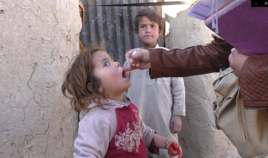 ملک میں پولیو کا ایک اور کیس رپورٹ،کیسزکی تعداد 69 ہوگئی 1 Polio drops 1